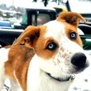 Meet your Posher, Cindi